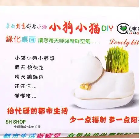 2017 мода милый отдел животных свежие керамические горшки мини суккуленты в горшке