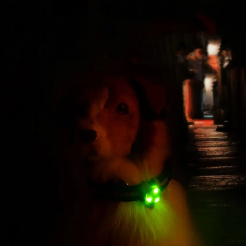 Hoomall 1 шт. светодиодный ошейник для собак, кошки, Декор, разноцветный резиновый ошейник для собак, ошейник для чихуахуа, поводки для питомцев, аксессуары