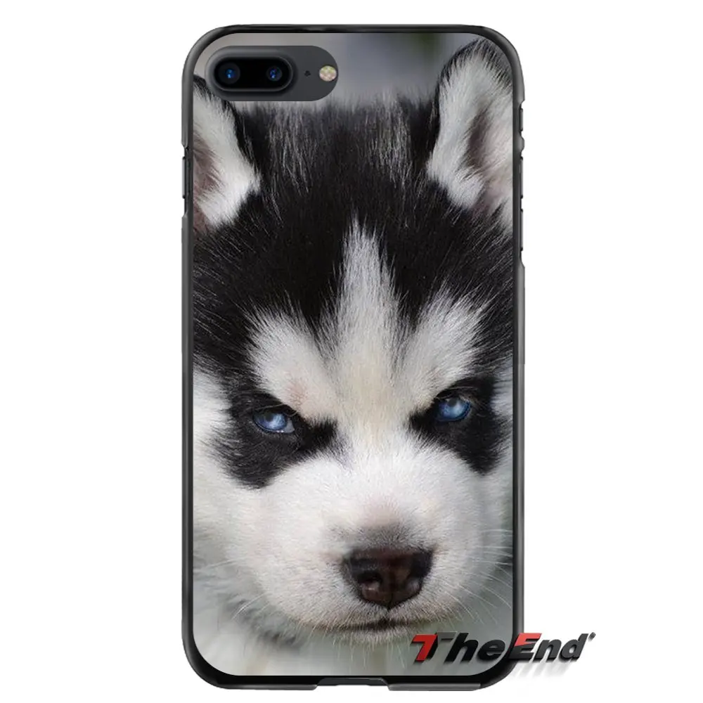Аксессуары чехлы для телефонов Husky Dog Apple iPhone 4 4s 5 5S 5C SE 6 S 7 8 Plus X iPod Touch