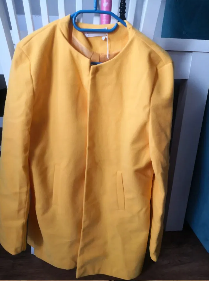 Модное женское пальто с круглым вырезом и длинным рукавом, S-XXL, Одноцветный шерстяной Свободный кардиган, осень, тонкая верхняя одежда