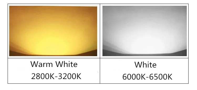 Теплый белый 10 Вт 20 30 50 100 Светодиодный светильник чип DC 12V 36V COB Интегрированный