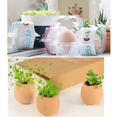 DIY комнатное яйцо бонсай сад красивые семена цветов растение для домашнего офиса