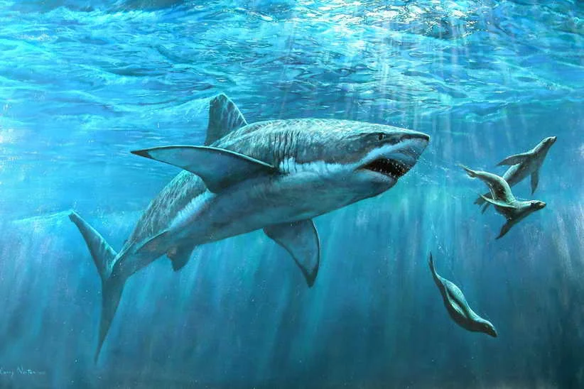 

Modern Decor Art Wall Animal Shark Teeth Wide Seaview Oil Painting HD Printed on Canvas Office Decoration Gifts