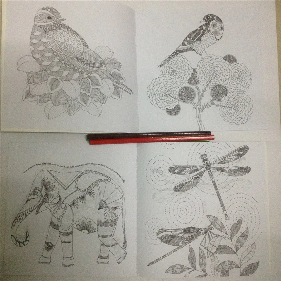 24 страниц животного Королевство английское издание антистресс раскраска для