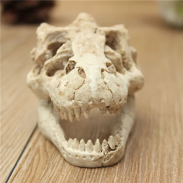 Aquarium Terrarium Decoration Crocodile Skull for Fish Tank Resin Ornament Intravital skull lizard scorpion box | Дом и сад