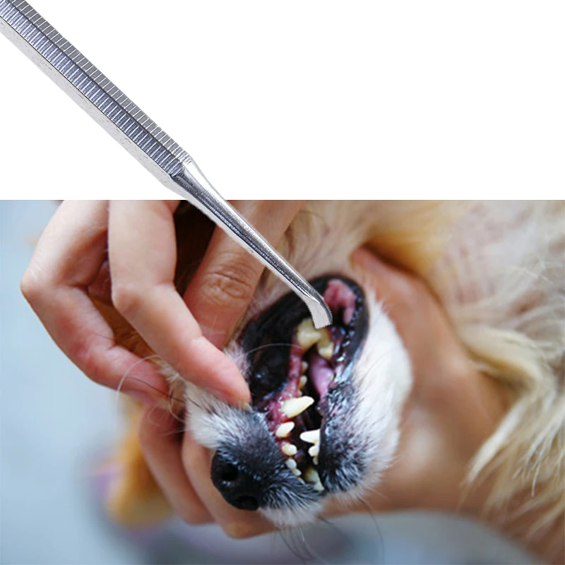 Устройство для удаления зубного камня скребок собак и домашних животных