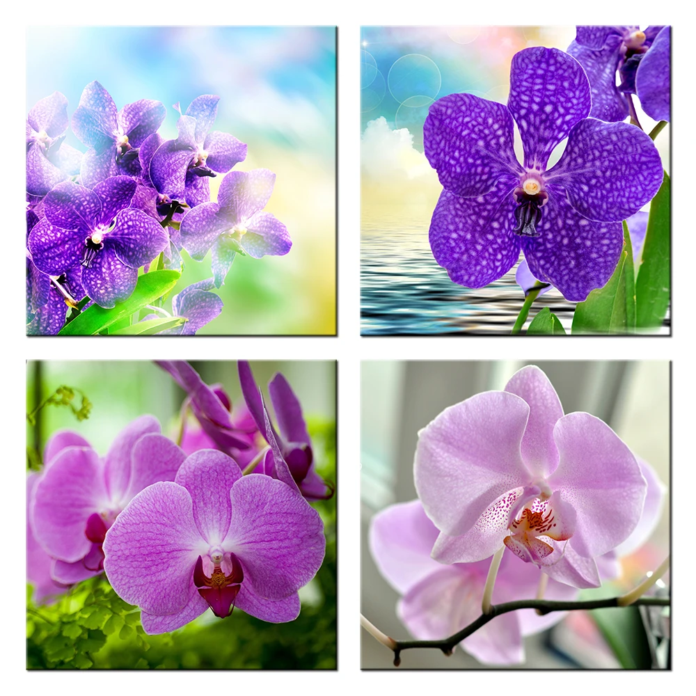 HD домашний декор живопись Орхидея серия фаленопсис пейзаж печать на холсте жикле