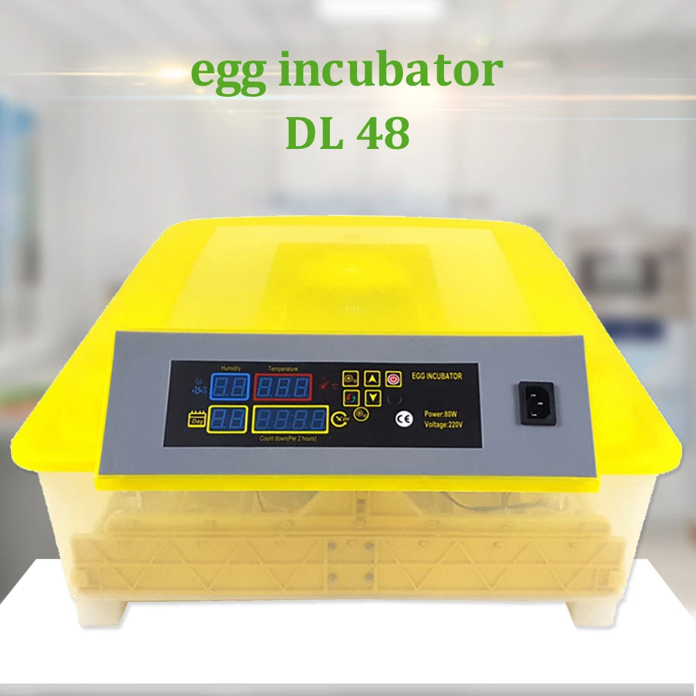 Автоматический инкубатор для куриных яиц домашняя инкубация яйца попугая