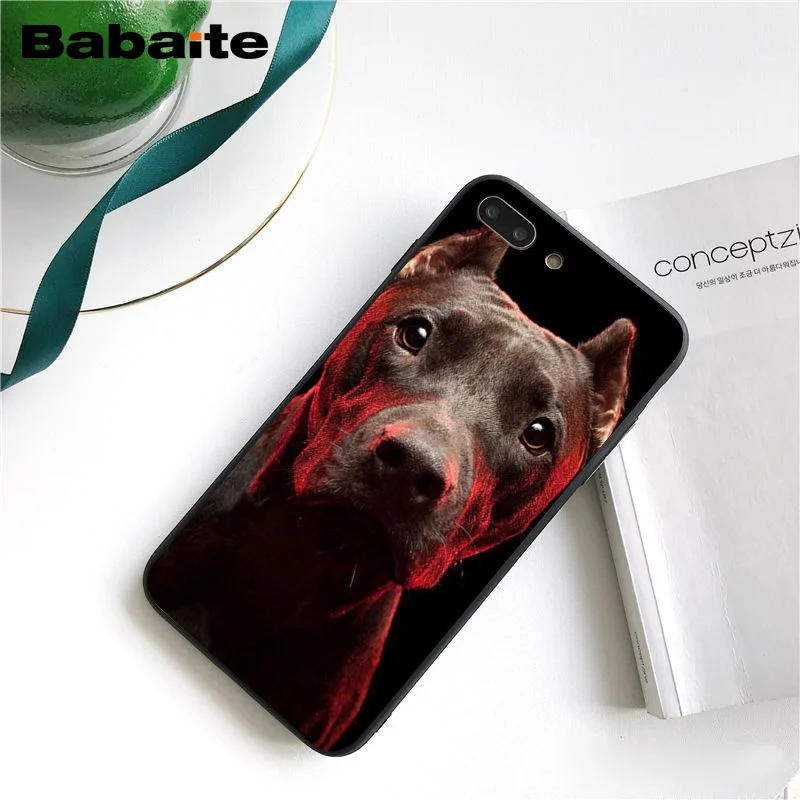 Питбуль прекрасная собака защитный чехол для телефона Fundas iphone 12 11 Pro Max 8 7 6 6S Plus X XS