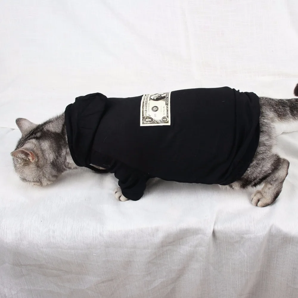 Маленькая одежда для кошек и домашних животных толстовка костюм котенка собак
