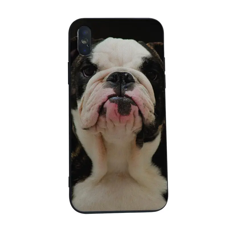 Чехол MaiYaCa Franc Bulldog силиконовый чехол из ТПУ для iphone 5 5s SE 6s 6plus 7 8plus 8 X XS XR XSMAX чехлы