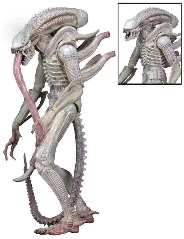 Высококачественный беспилотник NECA серии пришельцев 9 Xenomorph Albino частный Рикко