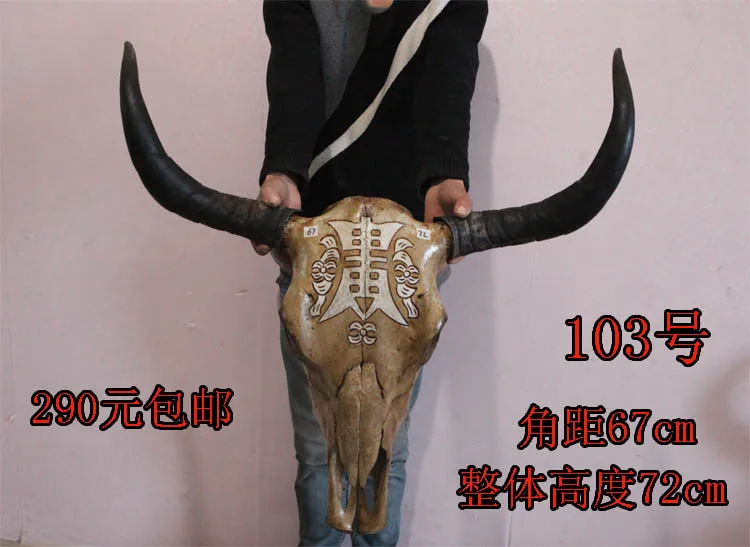 Голова искусство ремесла яка череп ремесло, Подлинная голова быка орнамент, крупного рогатого скота и овец образец черепа, характеристика ремесло, бык