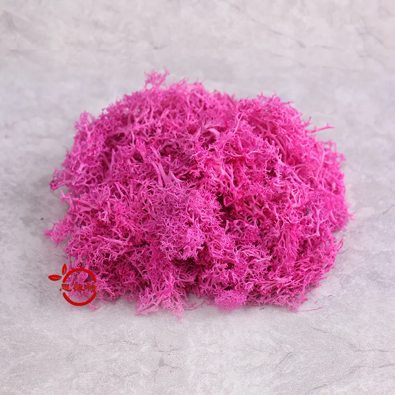 40 г многоцветный мох никогда не увядает страховые вечные цветы бесцветные Цветы