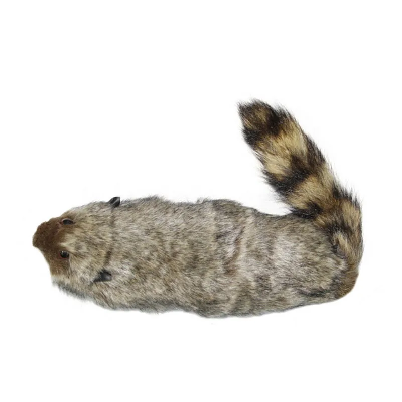 Классический Рокки Енот магический Робби фокусы сценические иллюзии трюки