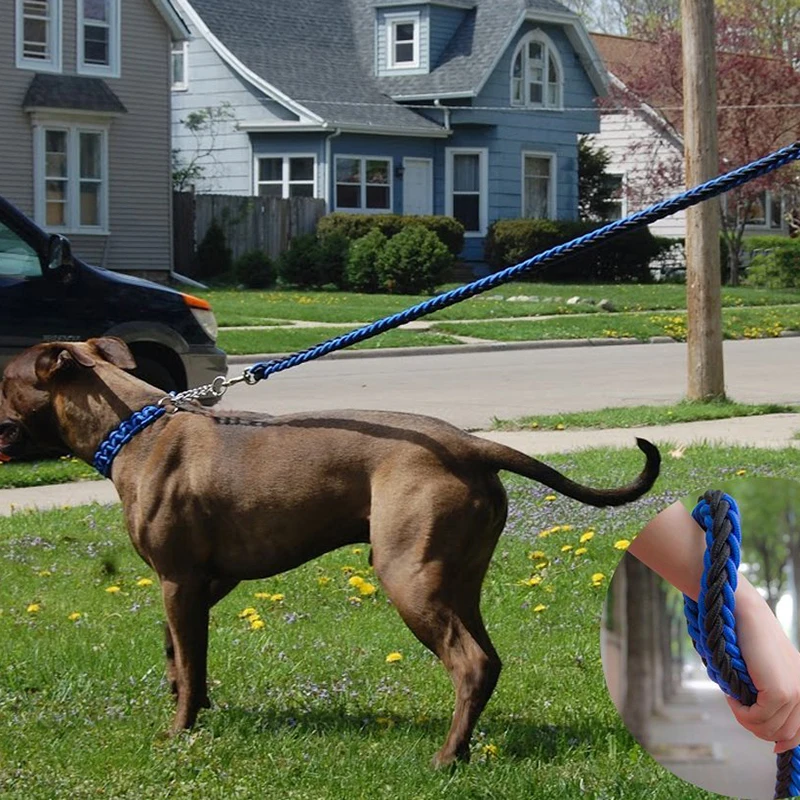 

Adjustable Dog Collar Leash Nylon Pet Leash Rope for Large Dogs Soft Dog Collar Set Chain