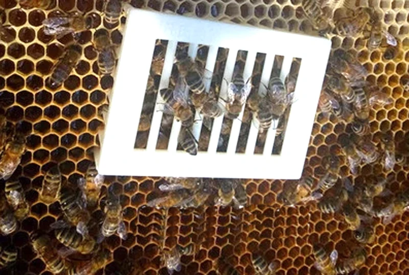 2 шт. новая пластиковая клетка с пряжкой в виде пчелы королевская игловая для