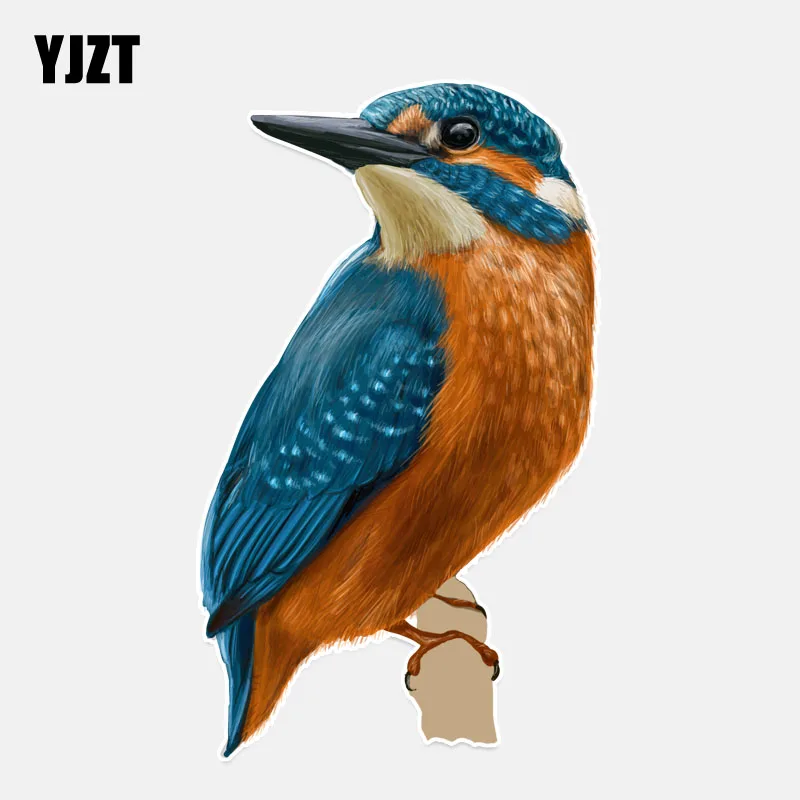 YJZT 9 3*15 см самый крутой A humming Bird Flight ПВХ декоративный автомобильный стикер