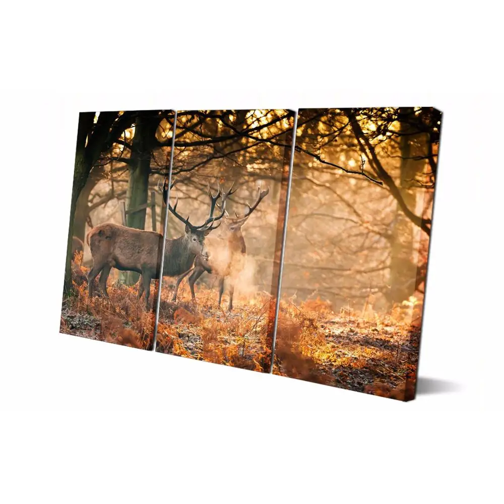 

Drop shipping 3 Panel printed painting Dees painting Wall Art Picture Home Decoration Living Room Modern painting LS715