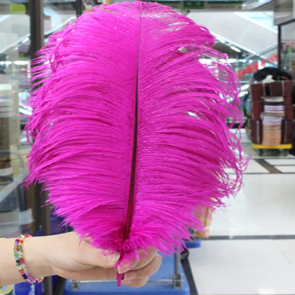 

Hot! Free shipping manufacturers selling 50 PCS Mei red ostrich feathers 10-12inches/25-30cm