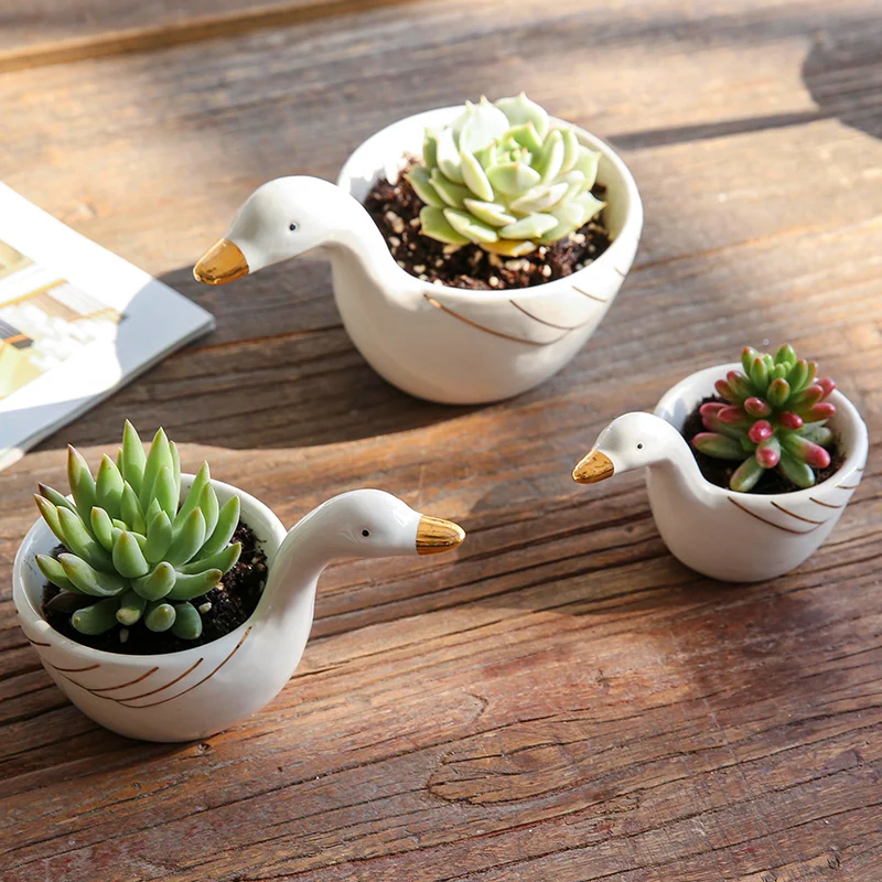 1 Piece Flower Pot Ceramic Vase Small Plant Cartoon Planter for Succulent Decorative Bonsai Home Garden Decoration | Дом и сад