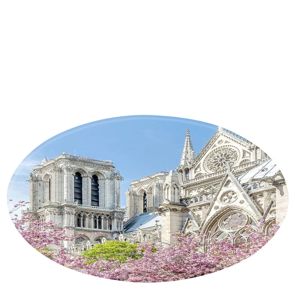 Notre Dame DE Paris круглое одеяло коврик фон для элементы защищает клетки круглый Ванная