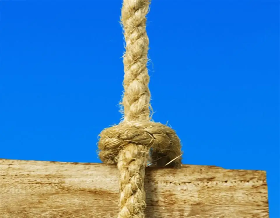 3d фотообои на заказ настенная роспись в гостиную лето пляж Коко дерево живопись