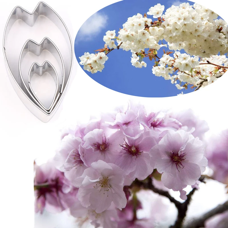 Sakura Petals 3Pcs Stainless Stell Cookie Cutter Pastry & Biscuit Baking Cake Decorating Tool Cupcake Mold Fondant | Дом и сад