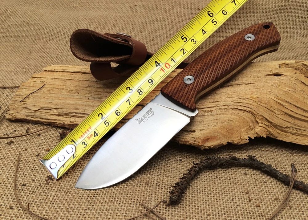 Италия LionSteel тактические фиксированные ножи 7Cr17Mov лезвие палисандр ручка кемпинг