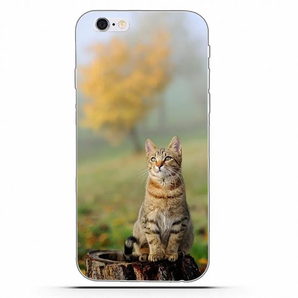 Мягкий чехол для мобильного телефона Huawei G7 Y6 II Y7 Xiaomi Redmi Note 2 3 5 Mi 4 4C 4I 5S 5X 6X 8 SE Pro