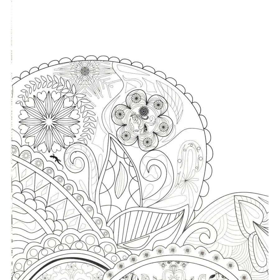 Mysterious Garden Coloring Book For Adult Children Graffiti Painting Drawing Secret Style Antistress Art Colouring Books |
