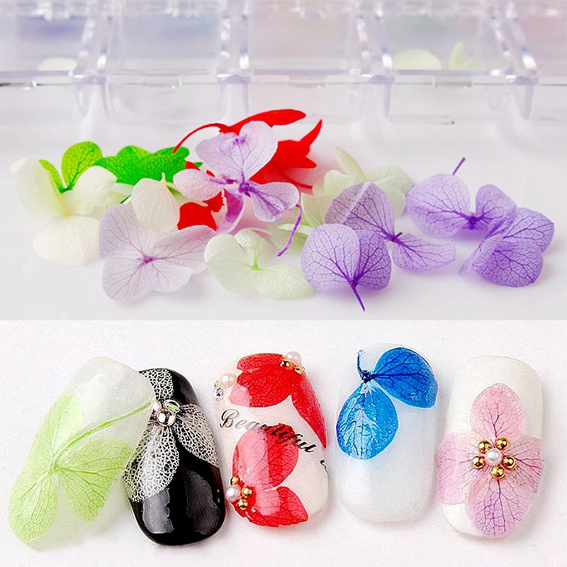 Сушеный Цветок для искусственных ногтей 12 цветов | Красота и здоровье