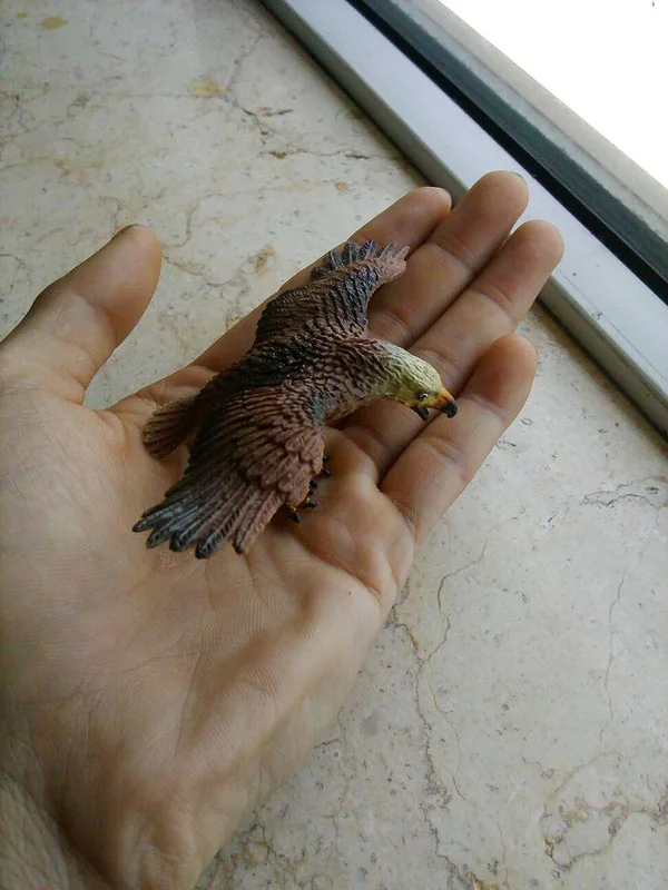 Анимас! Гиперфиновая модель с птичьими орлами и крыльями орла|wing model|wing winganimal model |