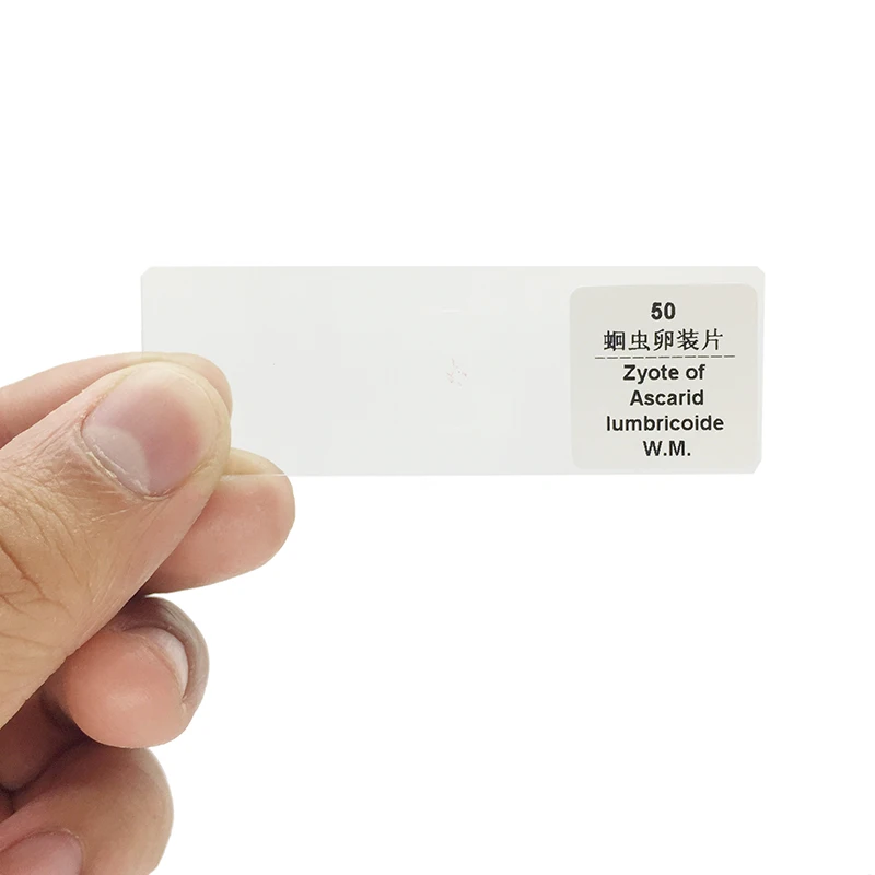 

50PCS Professional Biological Microscope Specimens Glass Slice Prepared Glass Basic Laboratory Microscope Slides for School Lab