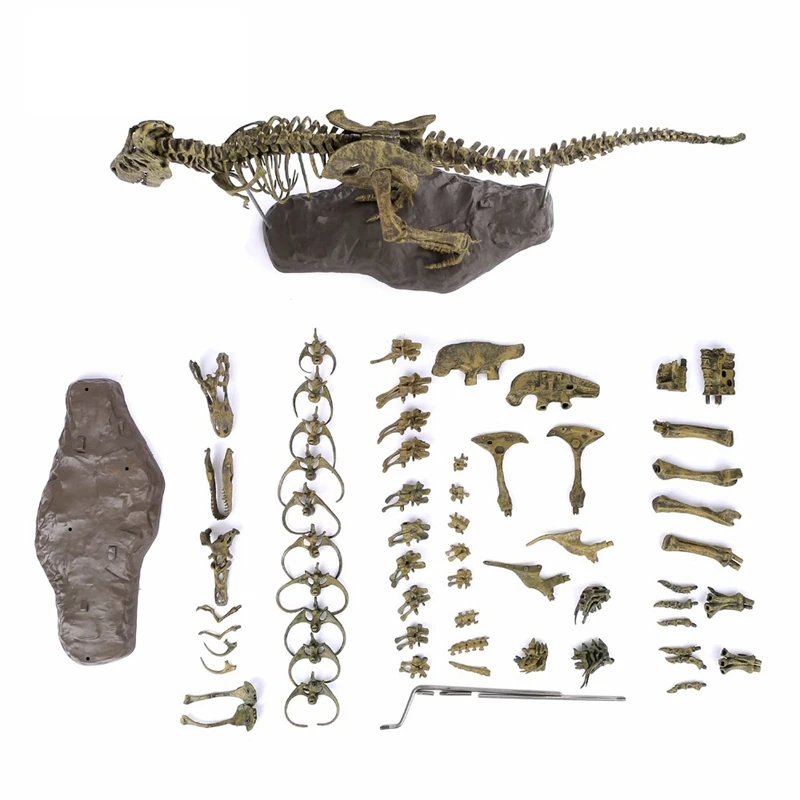 Большой динозавр Fossil череп игрушки модельки животных тираннозавр рекс собрать скелет модель предметы интерьера украшения