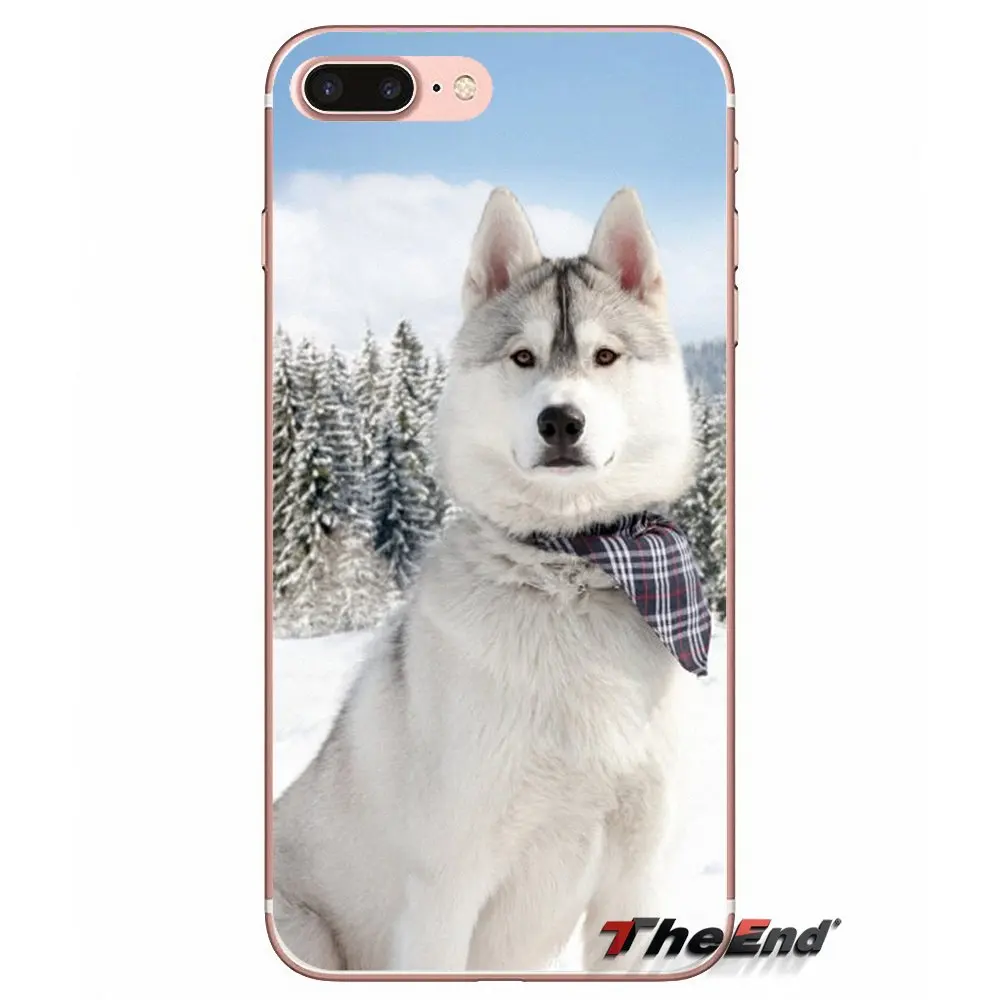 Для iPhone X 4 4S 5 5S 5C SE 6 6S 7 8 Plus Samsung Galaxy J1 J3 J5 J7 A3 A5 2016 2017 Husky аксессуары для собак чехлы