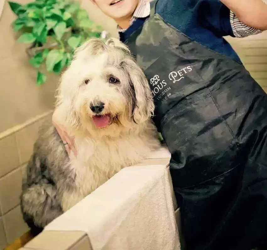 Одежда Unisize для купания домашних животных водонепроницаемое маленькое среднее