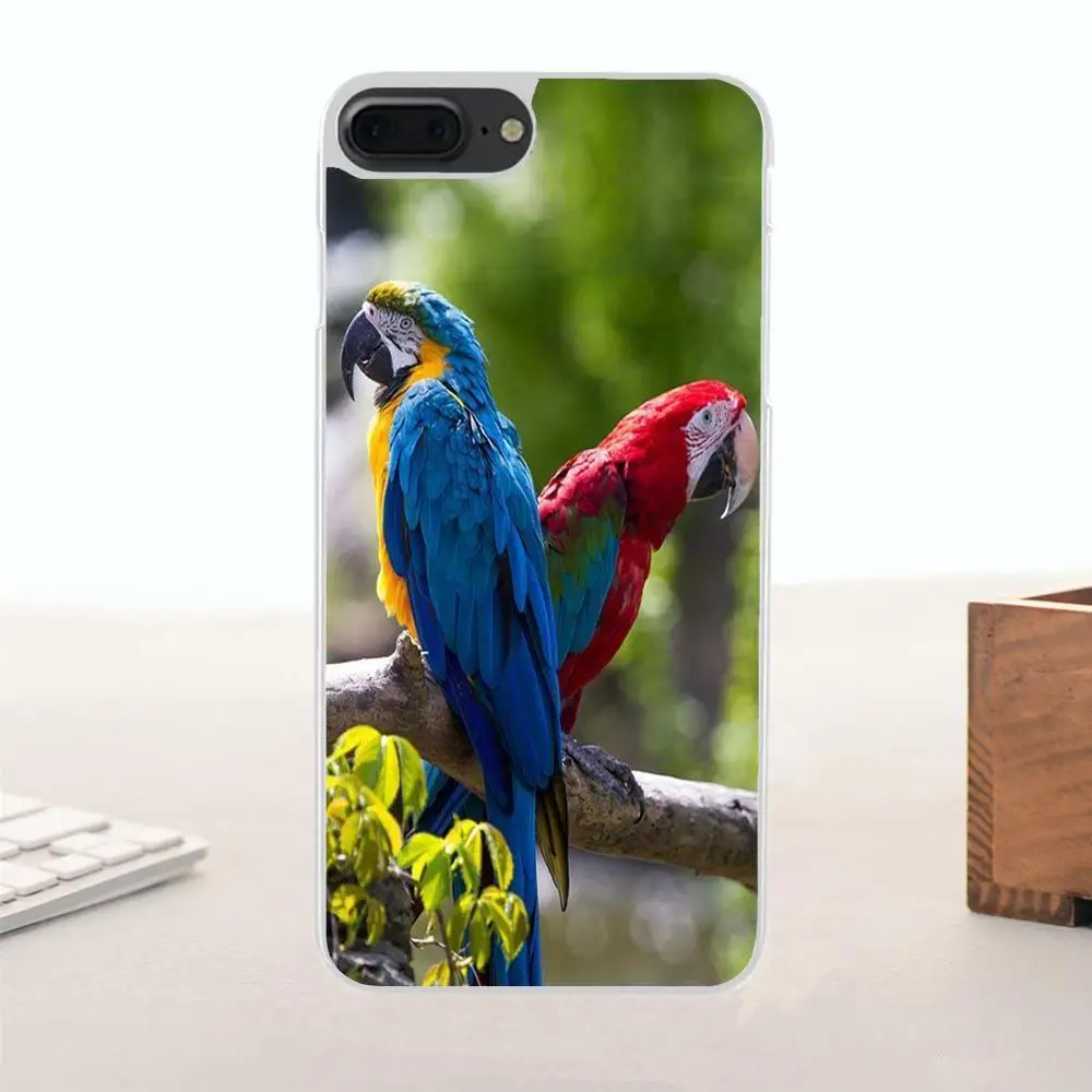 Rainbow Parrot For Huawei G7 G8 Honor 5A 5C 5X 6 6X 7 8 V8 Mate 9 P7 P8 P9 P10 Lite Plus Portugal Fashion Design Cell Case | Мобильные