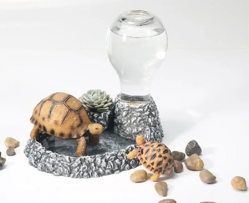 

Reptile drinking tray Pet box small animal automatic drinking fountain Tortoise lizard pet water feeder