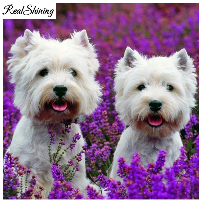 Полностью квадратная круглая Алмазная картина лавендарная westie собака 5D DIY