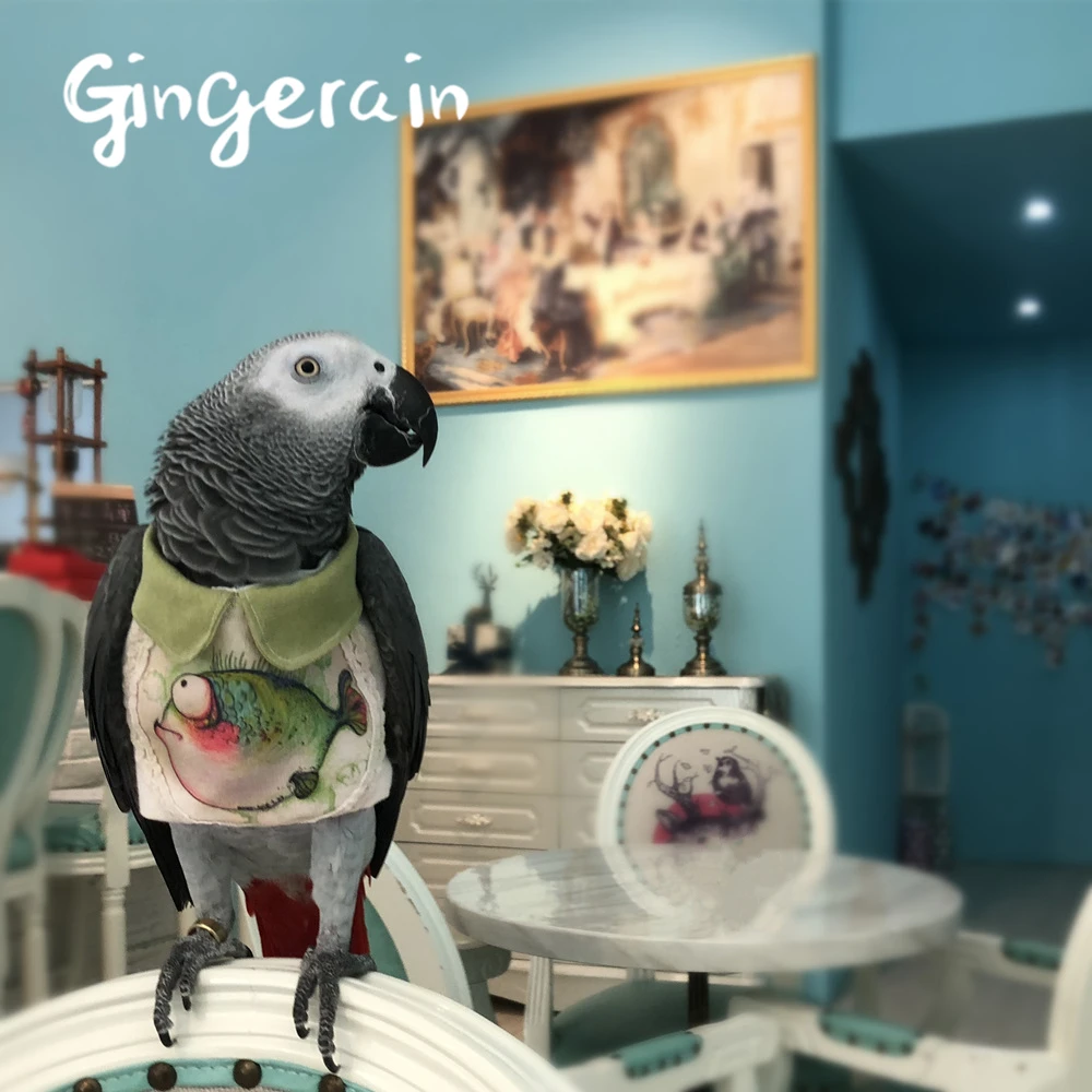 Gingerain одежда с птицами попугай одежда Lan оригинальная ручная одежда с птицами свитер с капюшоном рыба