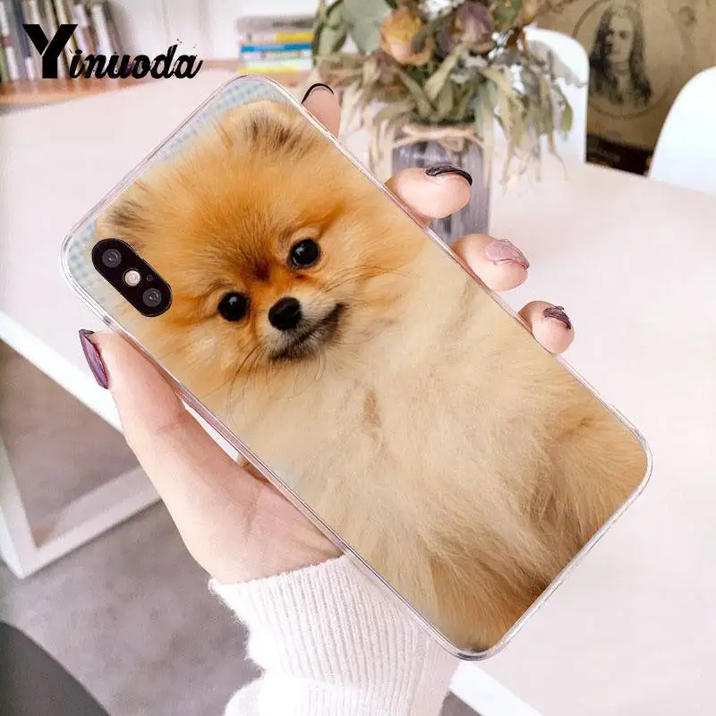 Yinuoda Pomeranian dogs Красочный милый чехол для телефона для iPhone 8 7 6 6S Plus X 10 5 5S SE XR XS XSMAX11 11pro 11promax