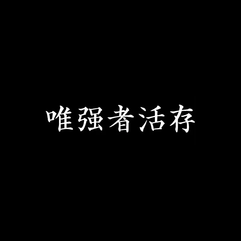 QYPF 16 см * 3 Модный китайский Kanji Выживание единственного сильного винилового