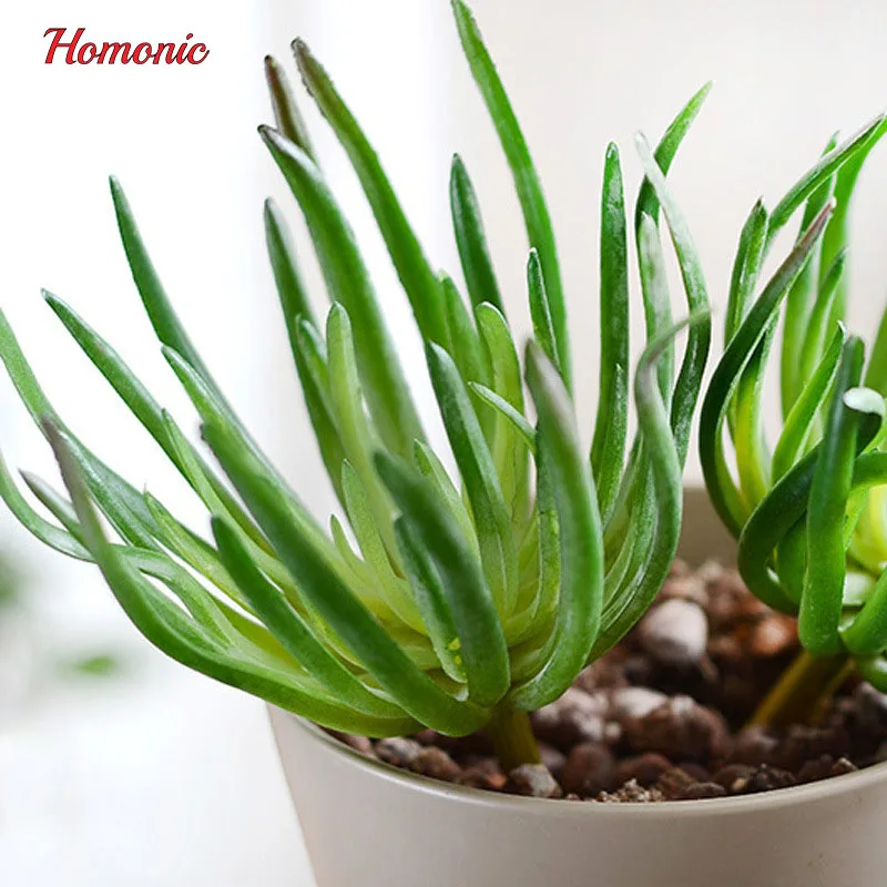 Пластичный сочные Foral листья поддельные моделирование папоротника искусства