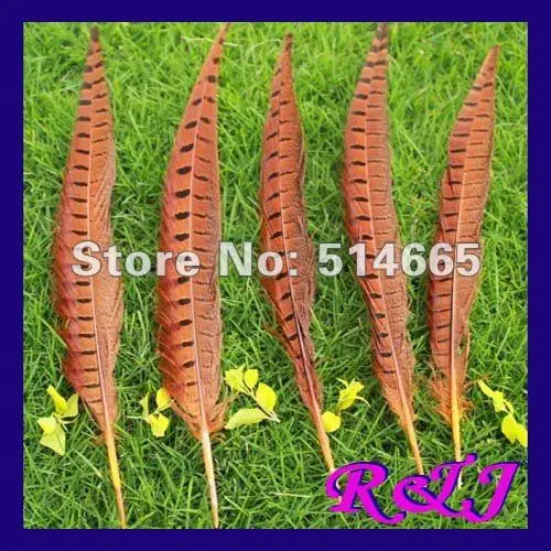 

Wholesale natural pheasant feathers 50PCS 20-25cm 8-10inch orange pheasant feather tail Free Shipping