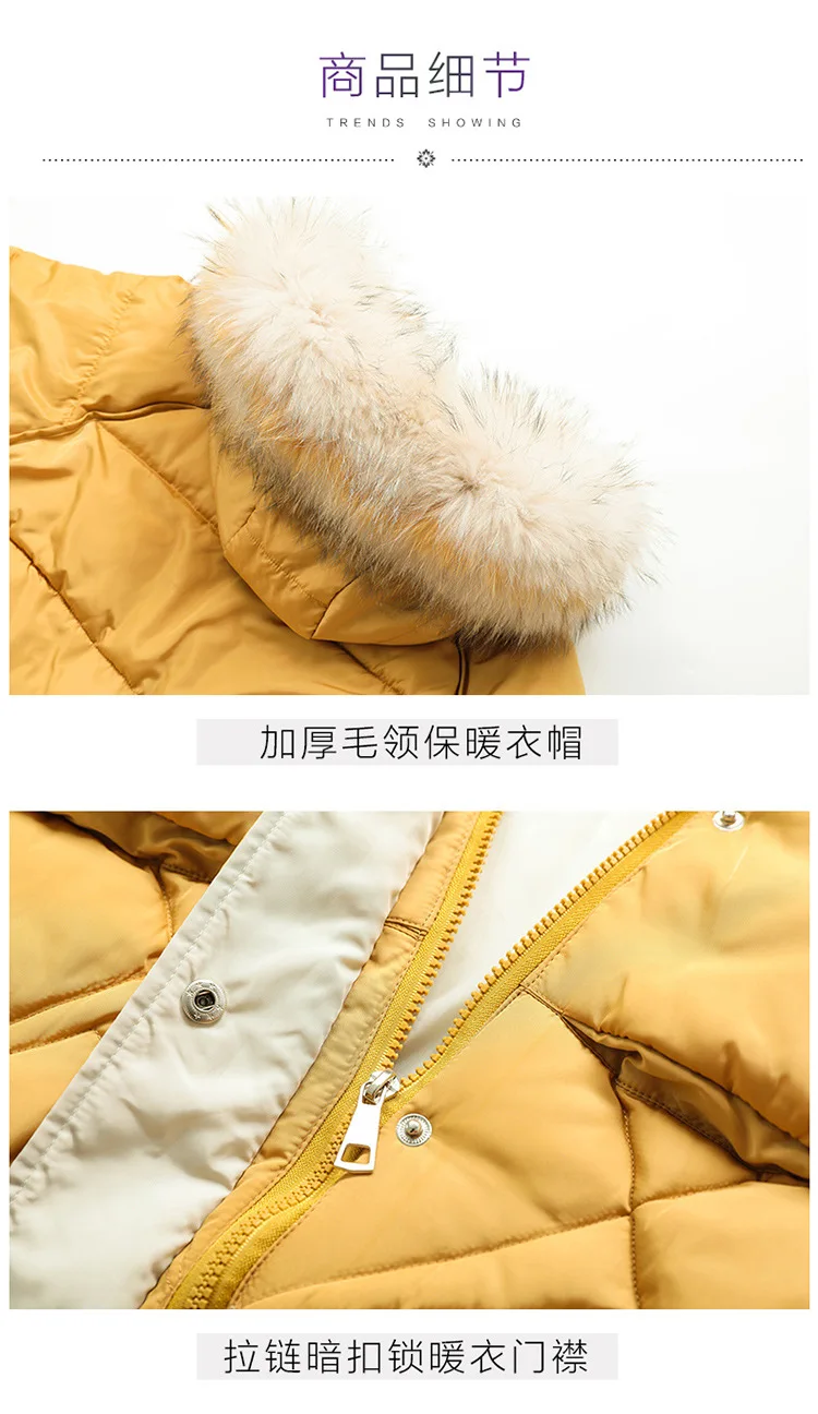 Winter Jacket Women down jacket for Women in Winter of parka women 5 color S-XXL 912