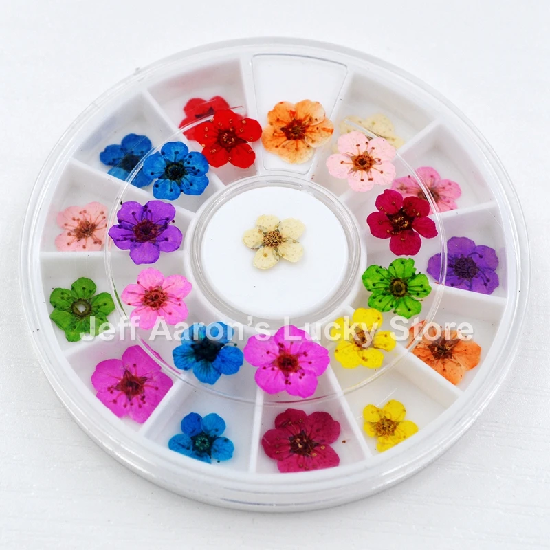 12 видов цветов сушенный цветочный цветок для украшения ногтей натуральные сухие