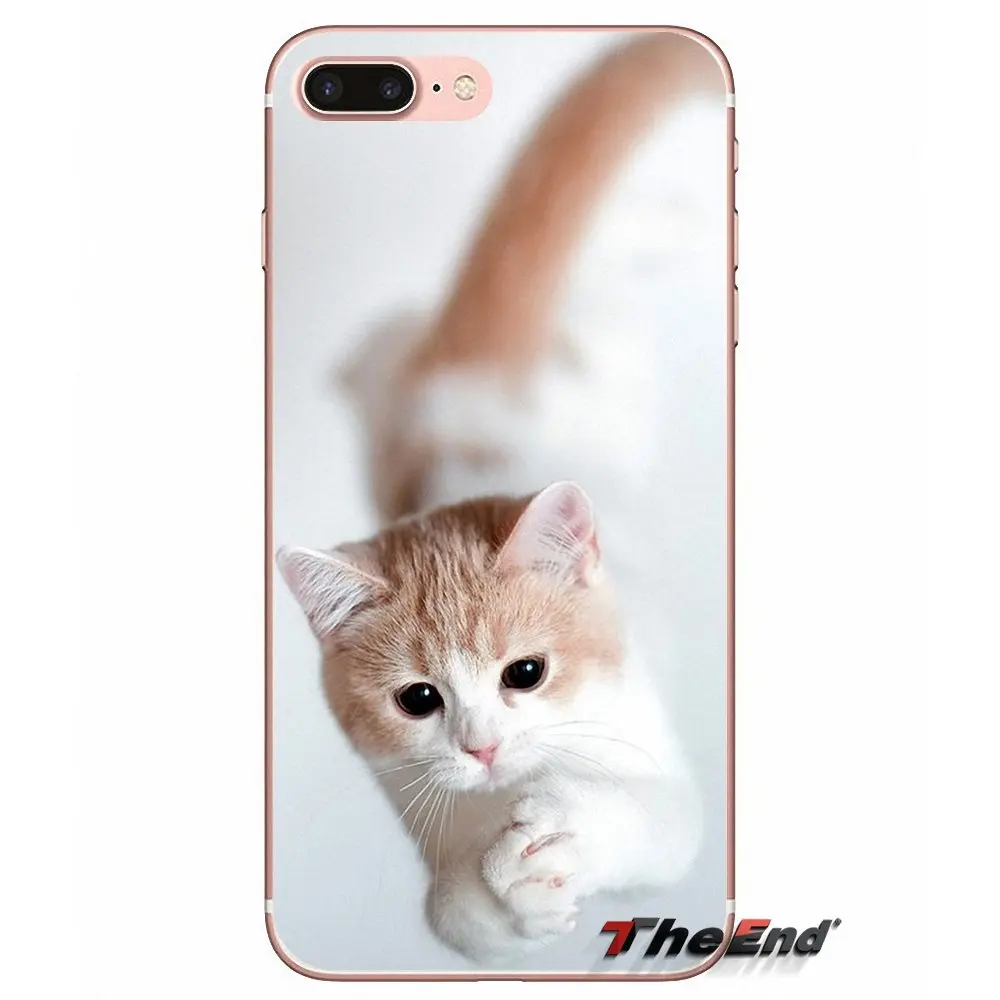 Силиконовый чехол для Samsung Galaxy J1 J2 J3 J5 J7 A3 A5 A7 2015 2016 2017 J530 J730 Fundas Coque Pretty moly kitта Коты |