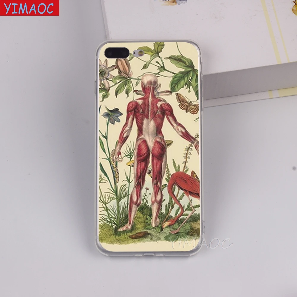 YIMAOC дизайн человека анатомия сотовый мягкий чехол ТПУ силиконовый для iPhone 8 7 6 6S