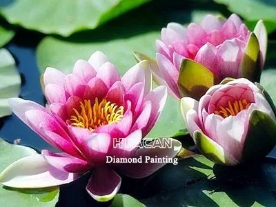 AP6305 Huacan DIY цветок Алмазная Вышивка Полный дисплей алмазная живопись растительная мозаика хрустальные стразы - Цвет: AP6305